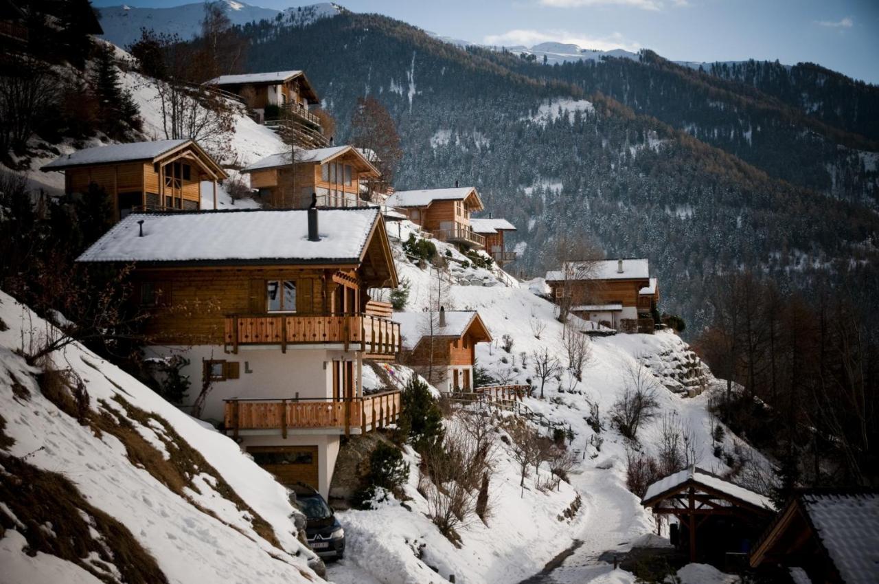 Greppons Cosy & Mountain Apartments By Alpvision Residences 维松纳 外观 照片